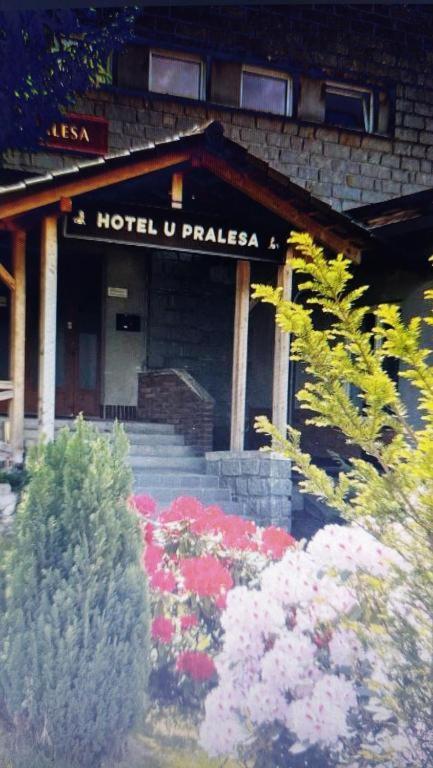 Kopretina Apartamento Cerne Udoli Exterior foto
