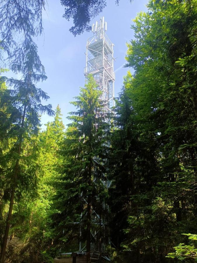 Kopretina Apartamento Cerne Udoli Exterior foto