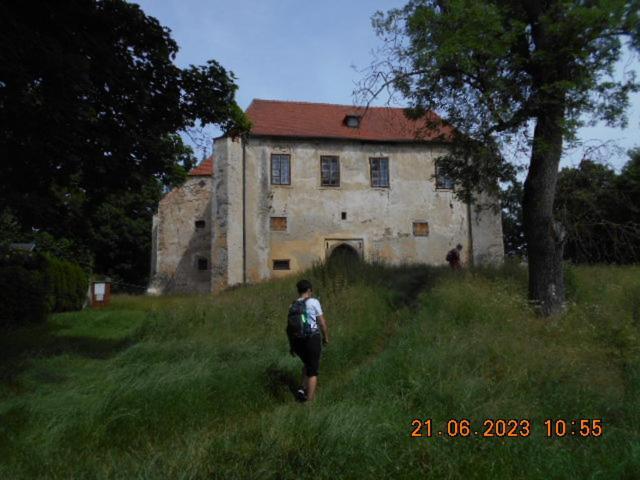 Kopretina Apartamento Cerne Udoli Exterior foto